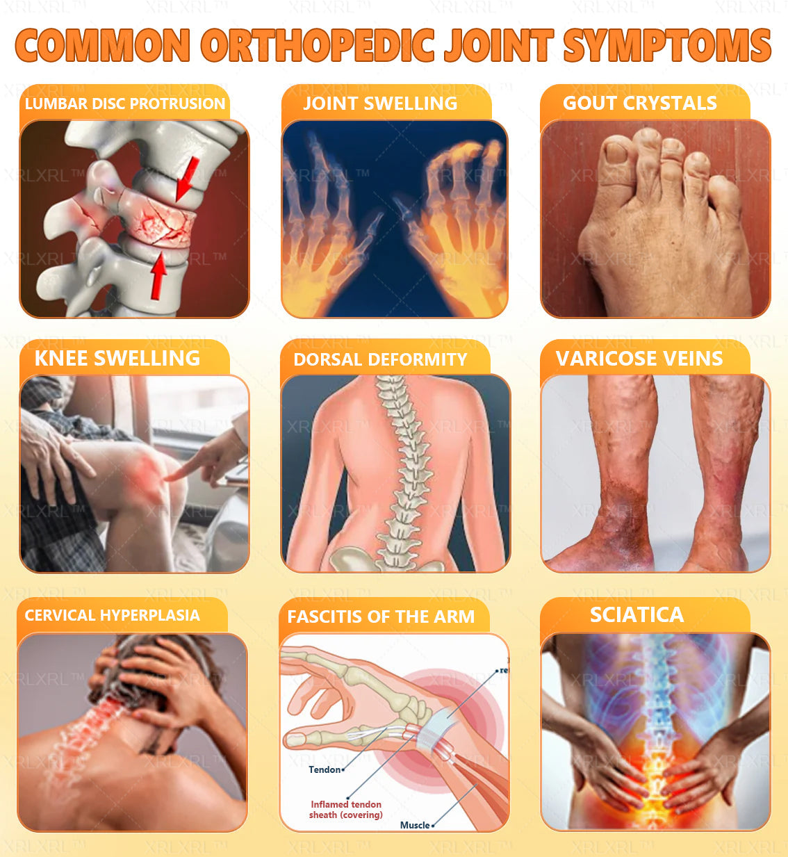 Elderly Arthritis Relief Bee Venom Cream | Repair Bone & Joint Discomfort Naturally